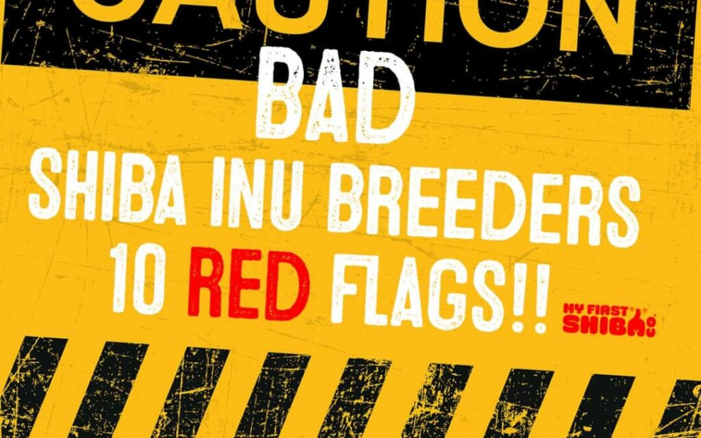 bad_breeders-copy-1080x675