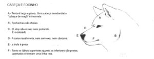 SHIBA FAQ