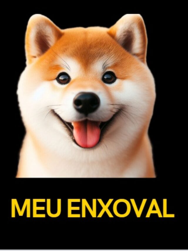 itens necessários