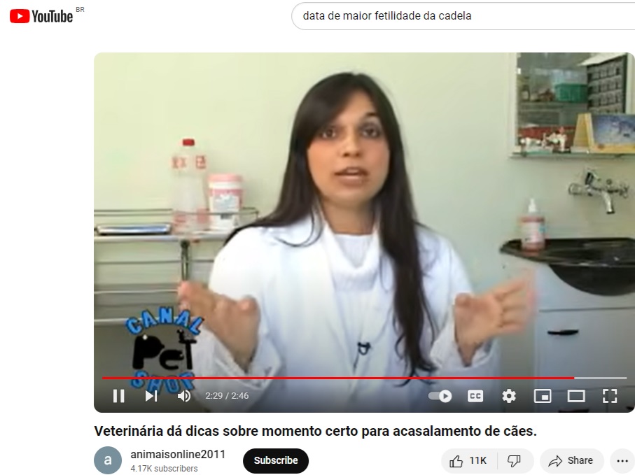 MATRIZ SHIBA