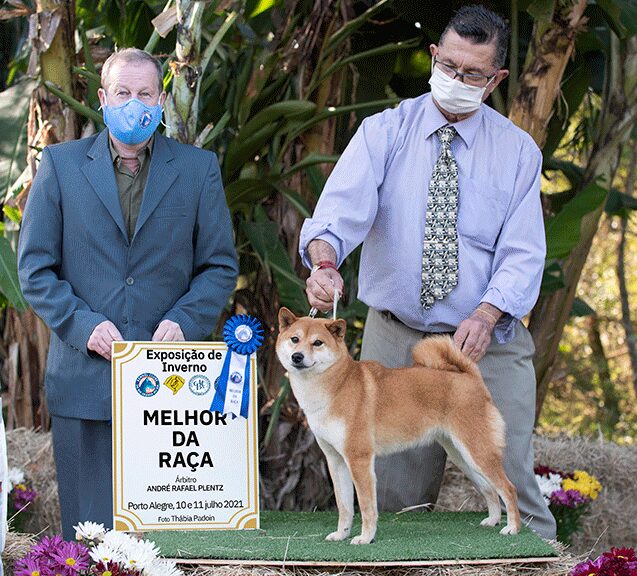 CUSTOS DE SHIBA