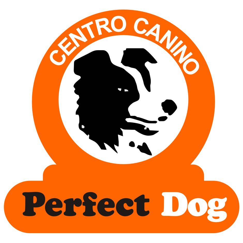 ATITUDES CANINAS CURIOSAS