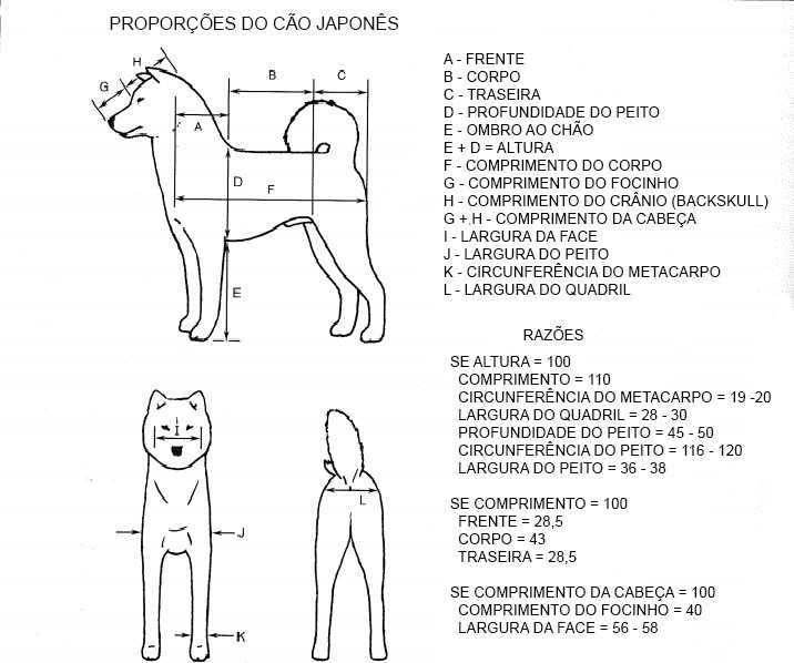 diagramas nippo
